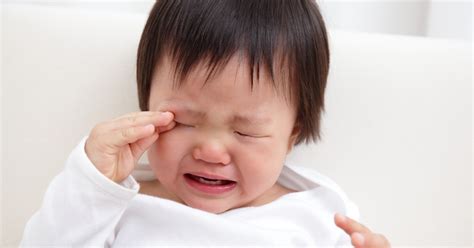 Crying toddler locked in airplane bathroom sparks debate about .